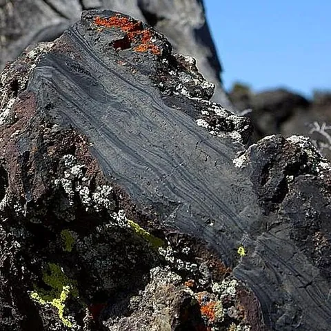 Тёмная пористая вулканическая порода, похожая на Lava Stone