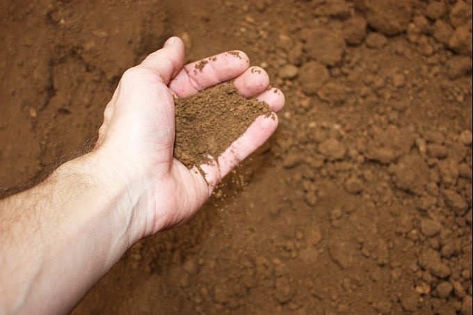 Восстановленное фото: 120876829.bkWWKiPP.NatureSoilProduction02.jpg