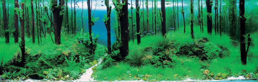 Восстановленное фото: 2 место - Xue Hai - Song of forest.jpg