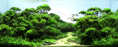 Восстановленное фото: 233_159.jpg