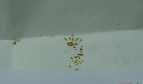 IMG_20161009_145742.png