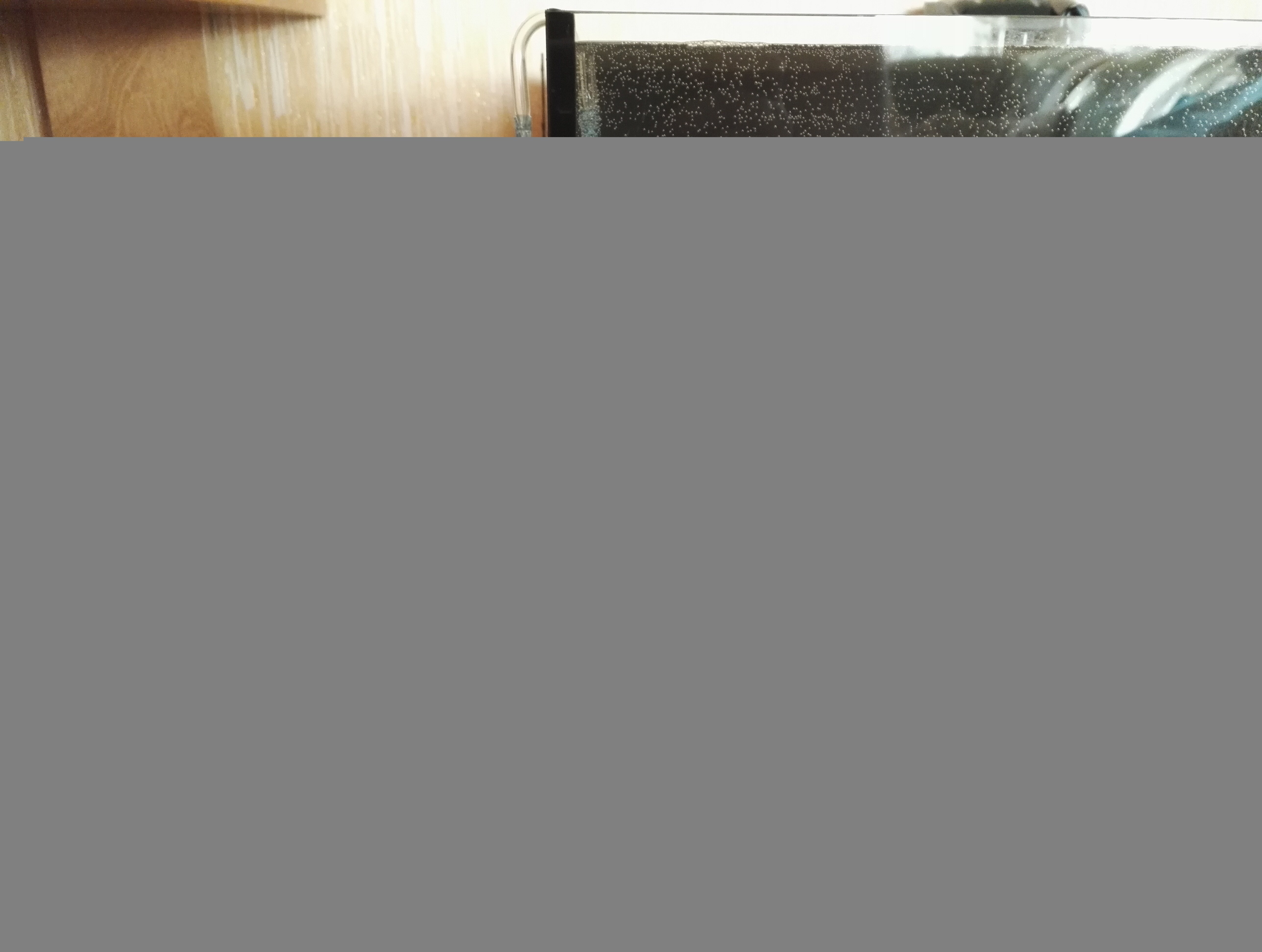 IMG_20161121_110007.jpg