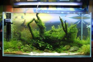 01.05.11 (2,5 месяца)