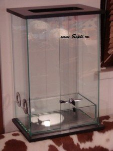 террариум экста  класса 004.JPG