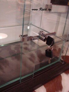 террариум экста  класса 007.JPG