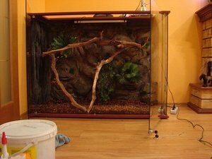 террариум 1300 на 1000на 55см 012.JPG