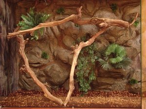 террариум 1300 на 1000на 55см 013.JPG