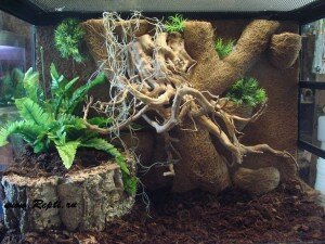 фон из кокосового волокна 018.JPG